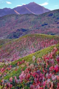 Alpine Loop in Fall