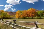Autumn at Wasatch Mountain State Park