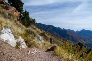 Hiking The Bonneville Trail