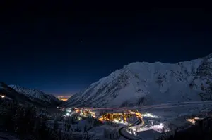 Snowbird at Night