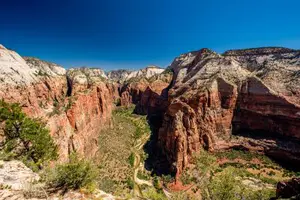 Zion National Park Panorama