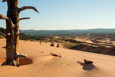 ATV Riders on Coral Pink Sand Dunes