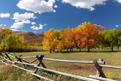 Autumn at Wasatch Mountain State Park