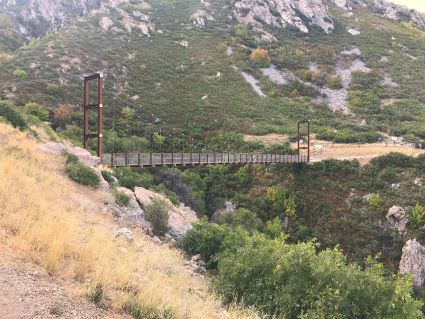 Bear Canyon Suspension Bridge