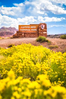 Capitol Reef Sign Behind Flower Display