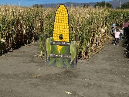 Corn Maze Cross E