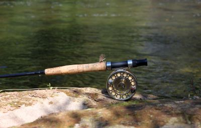 Fly Rod on a Stone