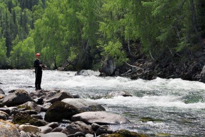 Fly fishing in a river