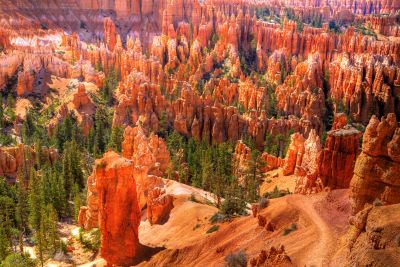 HikingTrailBryceNationalPark