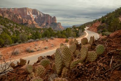 Kolob Canyon Road