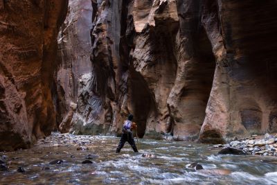 ManhikingthenarrowszionNP