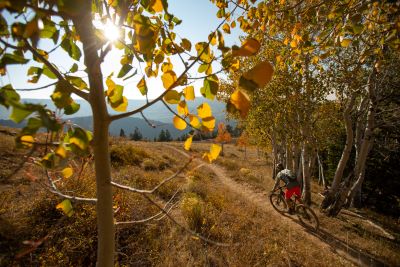 Mountain Biking Near Brian Head