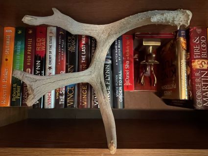 My Shed Antler