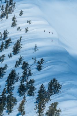 Powder Mountain Powder
