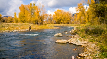 flyfishing the Provo