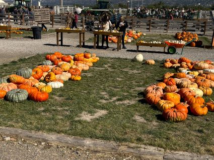 Pumpkin Patch Cross E