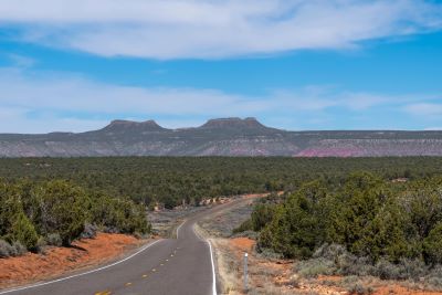 Road to the Bears Ears Buttes