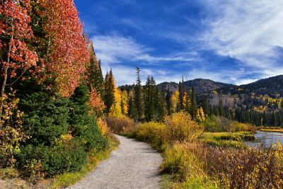 Silver Lake by Solitude and Brighton in Fall