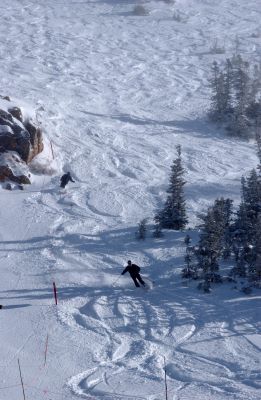 Skiing at Alta Ski Area