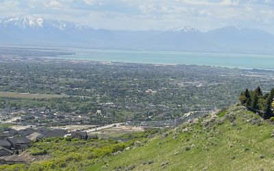 Utah Lake From Above