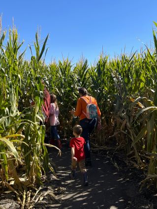 Walking in Corn Maze