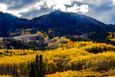 Wasatch Mountains Guardsman Pass 