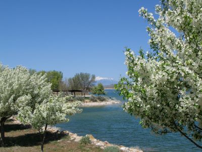 Yuba State Park Scenery