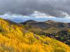 Aspens in Fall on Guardsman Pass