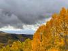 View of Bonanza Flat Towards Heber