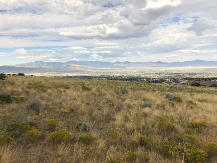 Bear Creek Trail View
