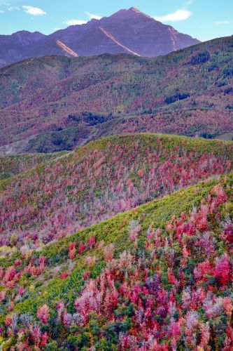 Alpine Loop in Fall