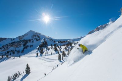 Alta Powder