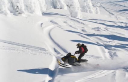 Bear Lake Snowmobiler