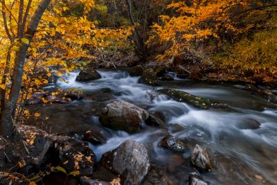 Big Cottonwood Creek Utah
