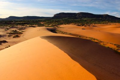 Coral Pink Sand Dunes Landscape