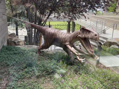 Dinosaur Garden Utah Field House Museum
