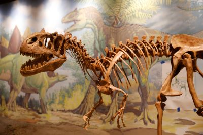 Dinosaur Utah Field House Museum State Park