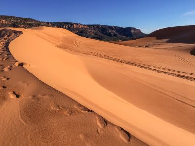 Dune in Coral Pink Sand Dunes State Park