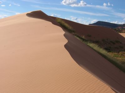 Dunes at Coral Pink Sand Dunes