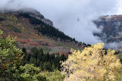 Fall near Sundance Resort