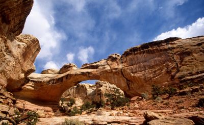Hickman Natural Bridge Capitol Reef