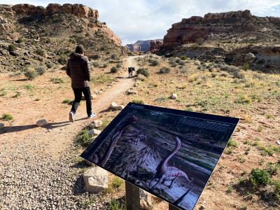Hiking Mill Canyon Trail near Utahraptor State Park