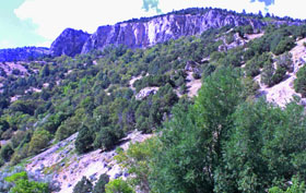 Logan Canyon Mountains