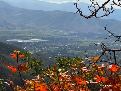 MIdway & Heber From The Top of Guardsman