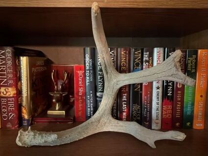 My Shed Antler