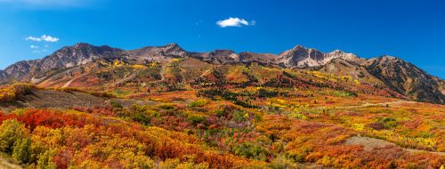 Ogden Valley Landscape in Autumn