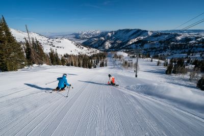 Powder Mountain Corduroy