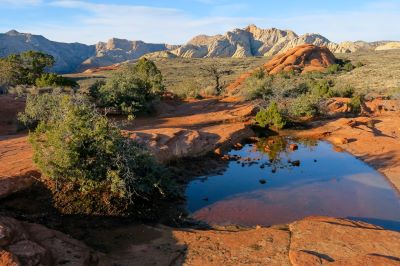 Red Rock And Water Snow Canyon