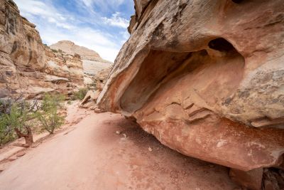 Sandstone along Hickman Bridge Trail