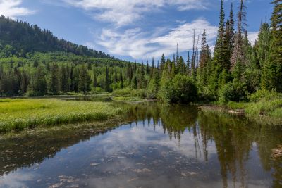 Silver Lake Panorama